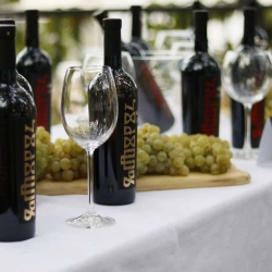BLAŽ Enology 27. kolovoza u Međugorju okuplja četrdesetak hercegovačkih vinarija